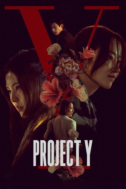 Project Y