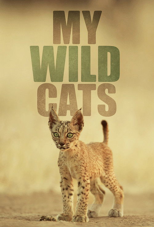 My Wild Cats
