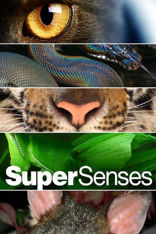 Supersenses