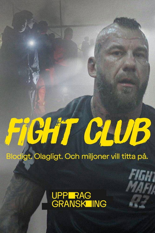 Uppdrag granskning: Fight club
