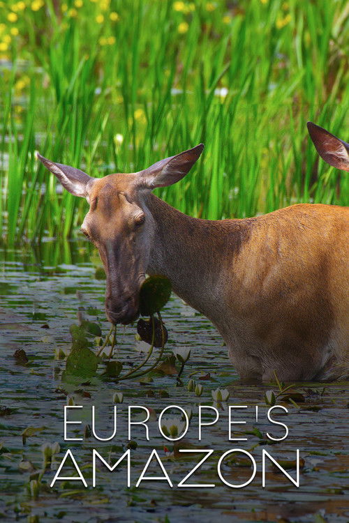 Europe's Amazon