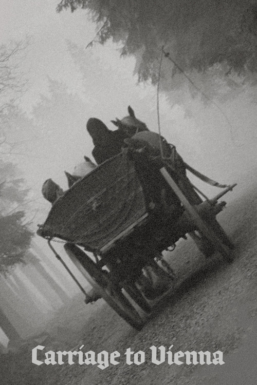 Carriage to Vienna